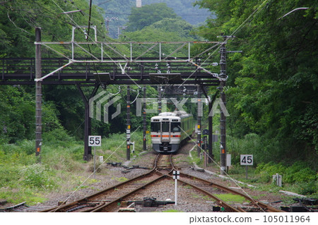 Ordinary Numazu line 313 series Gotemba line Go through Yamakita green tunnel 105011964