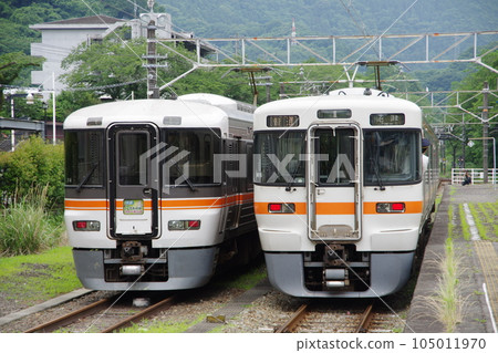 Rapid Sawayaka Walking Series 373 and 313 Gotemba Line Yamakita Station Rapid Sawayaka Walking Series 373 and 313 Gotemba Line Yamakita Station 105011970