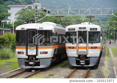 Rapid Sawayaka Walking Series 373 and 313 Gotemba Line Yamakita Station 105011971