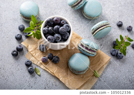 Blueberry macarons with fresh berries 105012336