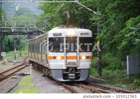 Regular train bound for Numazu, Series 313, Kozu Line, arriving at Yamakita Station Regular train bound for Numazu, Series 313, Kozu Line, arriving at Yamakita Station 105012363