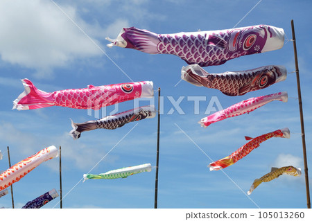 carp streamer, japanese koi carp flag carp streamer, japanese koi carp flag 105013260