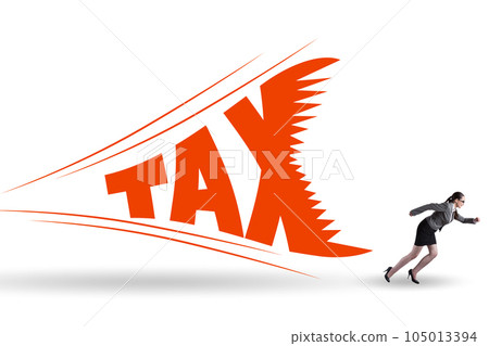 Concept of the tax burden Concept of the tax burden 105013394