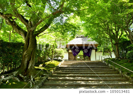 十蓮山安樂寺[京都府京都市左京區] 105013481