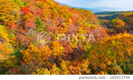 八幡平、松川溪谷的紅葉（森大橋附近） 105013744