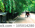 Kakunodate Bukeyashiki and Rickshaw 105014280