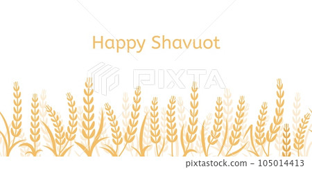 Shavuot background with yellow wheat ears, happy season and festive. Golden barley isolated, israel festival agricultural decent vector banner Shavuot background with yellow wheat ears, happy season and festive. Golden barley isolated, israel festival agricultural decent vector banner 105014413