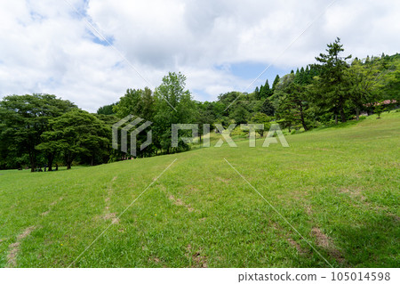 京都舞鶴舞鶴自然文化公園 105014598