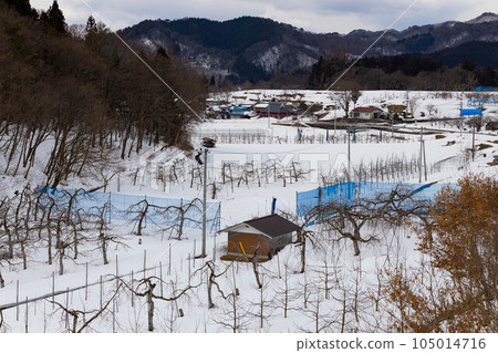 EOSR.Hiroshima Shobara, a field in Koya-cho buried in snow. 105014716