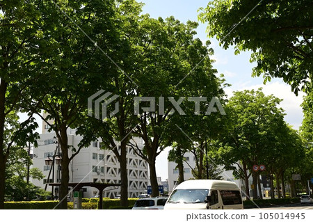 Morioka city in spring 105014945