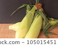 新鮮原料玉米 105015451