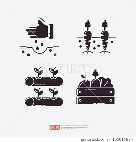 sow seed plan, carrot vegetable in soil, hydroponics farming, vegetables in wood box. Agriculture and farming glyph icon set. Vector Illustration 105015654