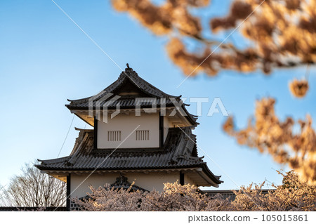 黃昏時分的金澤城公園石川門和盛開的櫻花｜石川縣金澤市 105015861