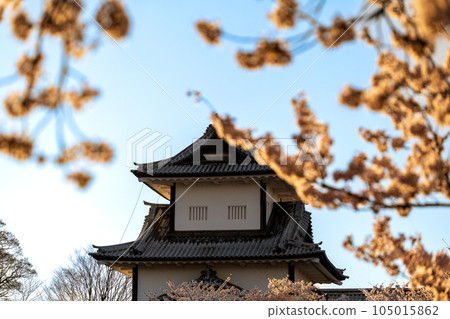 Kanazawa Castle Park Ishikawa Gate at dusk and cherry blossoms in full bloom｜Kanazawa City, Ishikawa Prefecture 105015862