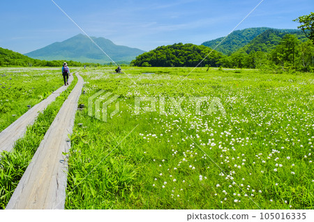 Watasu gorgeous Ozegahara Watasu gorgeous Ozegahara 105016335