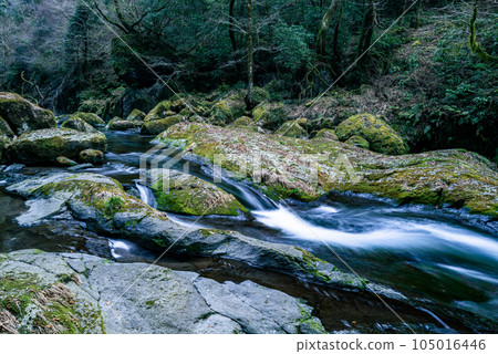 Kikuchi Gorge 105016446