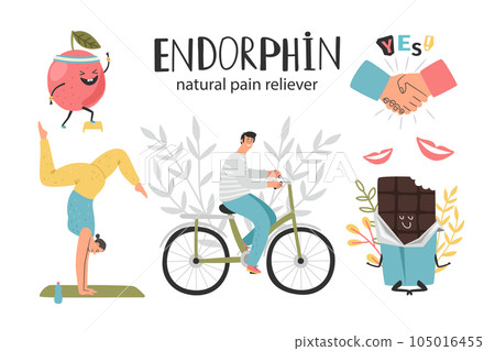 Natural pain reliever, endorphin hormone health colorful vector illustration Natural pain reliever, endorphin hormone health colorful vector illustration 105016455