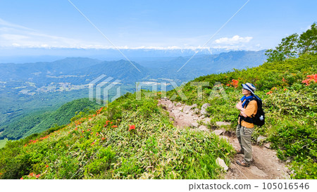 Early summer trekking 105016546