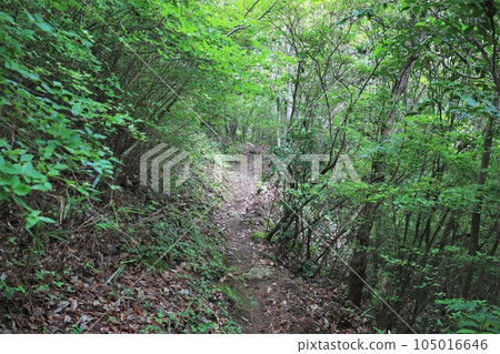 Niitakayama Castle 105016646