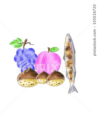 autumn fruits and saury 105016720