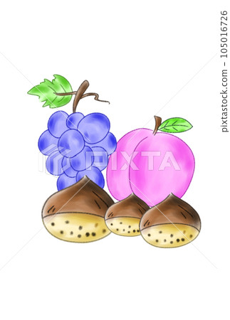 栗子、桃子和葡萄的插圖 栗子、桃子和葡萄的插圖 105016726