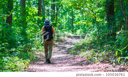 Early summer trekking 105016761