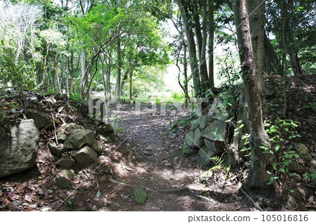 Niitakayama Castle 105016816