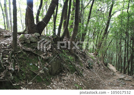 新高山城 新高山城 105017532