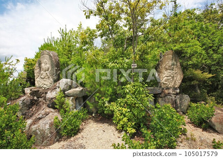 新高山城 新高山城 105017579