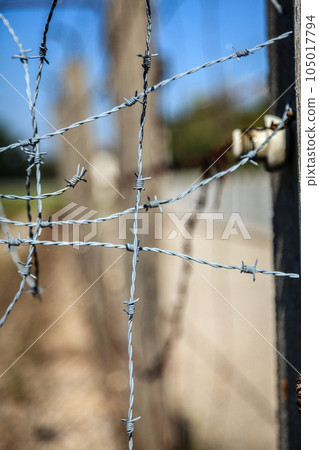 Barbed wire 105017794