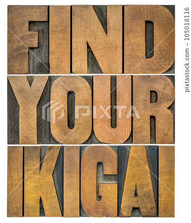 find your ikigai - isolated word abstract in letterpress wood type - Japanese concept of a reason for being and life purpose find your ikigai - isolated word abstract in letterpress wood type - Japanese concept of a reason for being and life purpose 105018116
