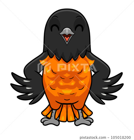 Cute baltimore oriole bird cartoon 105018200