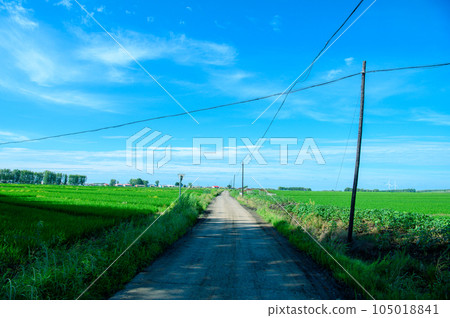 夏季鄉村 夏季鄉村 105018841