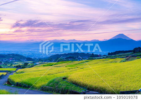 [Autumn material] Sunrise over terraced rice fields in Nakano at harvest time [Yamanashi Prefecture] 105019378