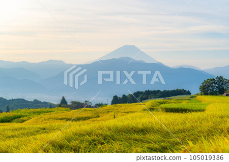 [Autumn material] Sunrise over terraced rice fields in Nakano at harvest time [Yamanashi Prefecture] 105019386