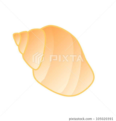 Seashell illustration 105020391