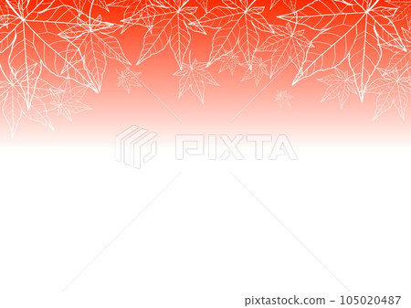 白線秋葉。背景,框架。 白線秋葉。背景,框架。 105020487