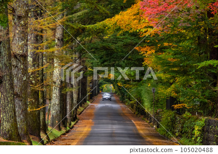 感受輕井澤深度的道路 感受輕井澤深度的道路 105020488
