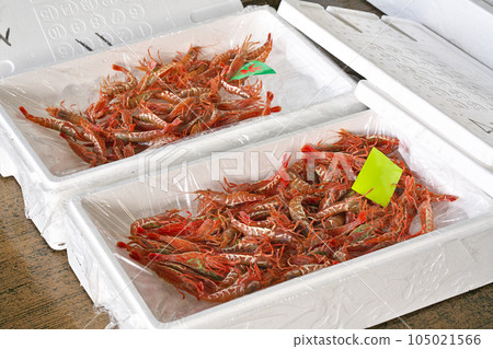 【蝦登陸漁港】 【蝦登陸漁港】 105021566