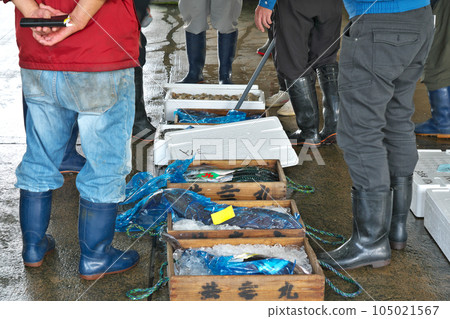 【漁港上岸的魚群】 105021567