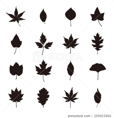 Autumn leaves Autumn leaves 105021602