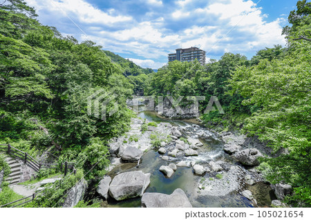 Rairaikyo Gorge in summer 105021654