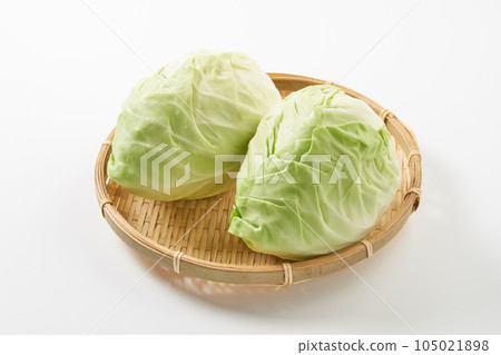 竹筍白菜白色背景圖像 竹筍白菜白色背景圖像 105021898