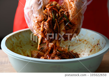 Korean food, Kimchi cabbage cooking with hand, Homemade fermented side dish Korean food, Kimchi cabbage cooking with hand, Homemade fermented side dish 105022650