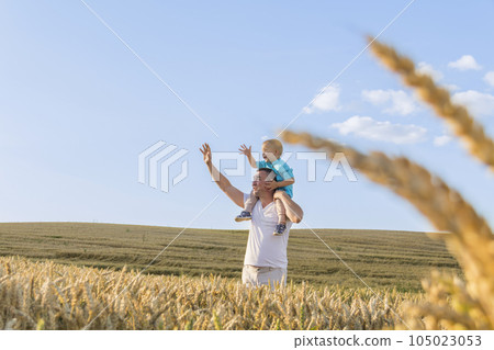 Dad and his little son are having fun walking in a field with ripe wheat.  105023053