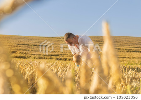 Dad and his little son are having fun walking in a field with ripe wheat. economic crisis Dad and his little son are having fun walking in a field with ripe wheat. economic crisis 105023056