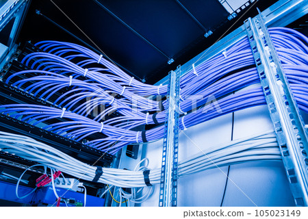 bunch of patch network cables sorted in rack cabinet, leading from patch panel in the server rack in the data center room 105023149