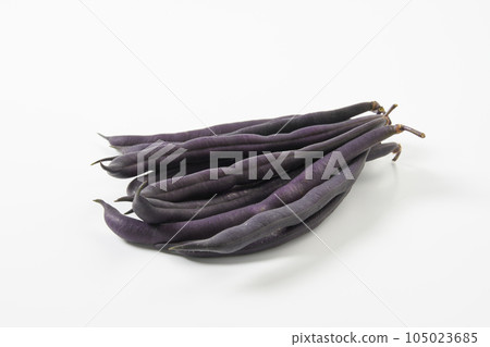 紫芸豆白色背景圖像 紫芸豆白色背景圖像 105023685