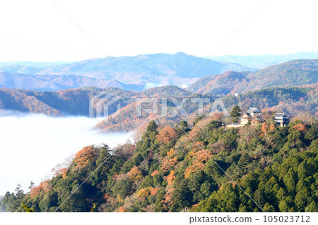 Bitchu Matsuyama Castle floating in the sea of clouds (autumn leaves) Bitchu Matsuyama Castle floating in the sea of clouds (autumn leaves) 105023712
