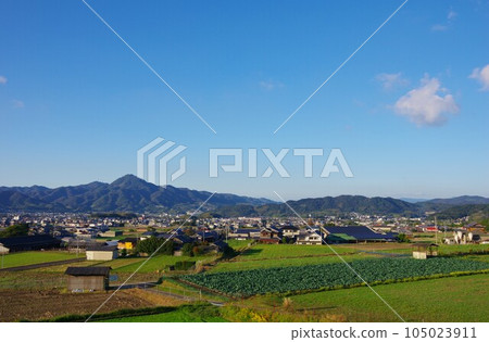 兵庫縣淡路島從洋蔥路眺望崎山 105023911